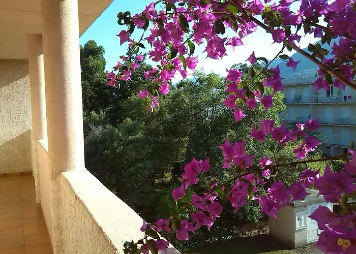 Apartmán Cala Di Sognu